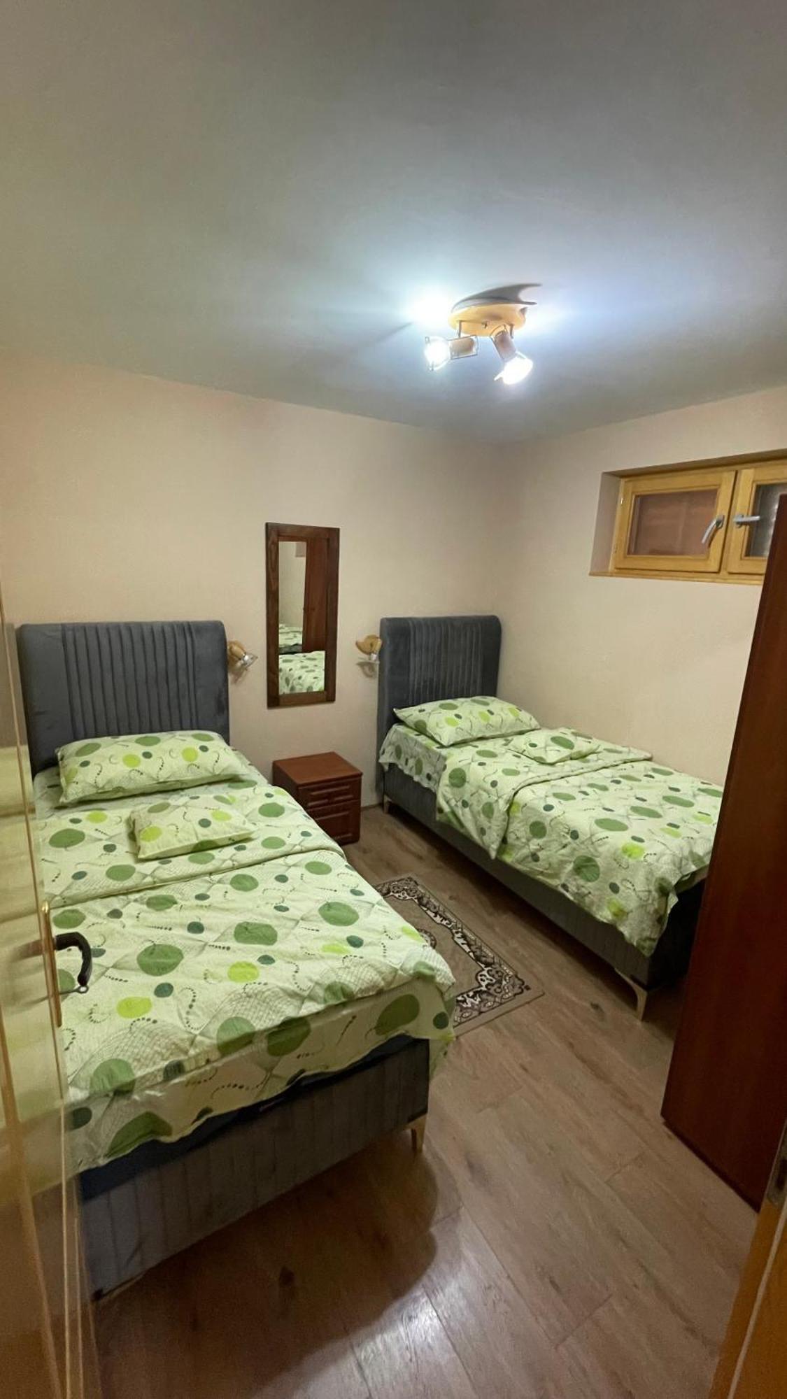 Eko Apartmani باتشكي بيتروفاتس المظهر الخارجي الصورة